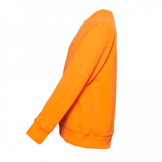 Толстовка  Оранжевый с логотипом в Нефтекамске заказать по выгодной цене в кибермаркете AvroraStore