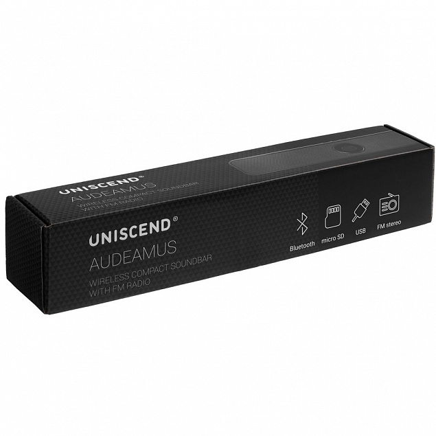 Беспроводная стереоколонка с FM-радио Uniscend Audeamus, черная с логотипом в Нефтекамске заказать по выгодной цене в кибермаркете AvroraStore