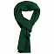 Шарф Stout, зеленый с логотипом в Нефтекамске заказать по выгодной цене в кибермаркете AvroraStore