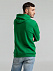 Толстовка с капюшоном SNAKE II ярко-зеленая с логотипом в Нефтекамске заказать по выгодной цене в кибермаркете AvroraStore