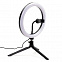 Светильник-лампа,белый,черный с логотипом в Нефтекамске заказать по выгодной цене в кибермаркете AvroraStore