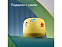 Умная колонка «Капсула Нео» с голосовым помощником Марусей с логотипом в Нефтекамске заказать по выгодной цене в кибермаркете AvroraStore