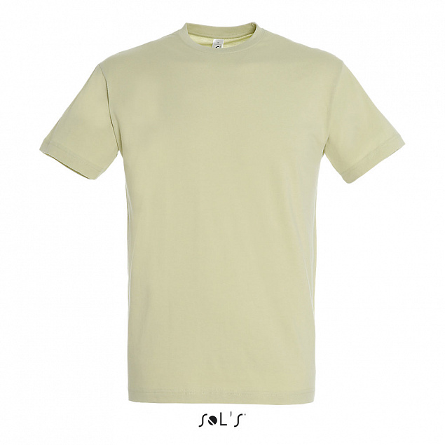 Фуфайка (футболка) REGENT мужская,Зеленый шалфей М с логотипом в Нефтекамске заказать по выгодной цене в кибермаркете AvroraStore