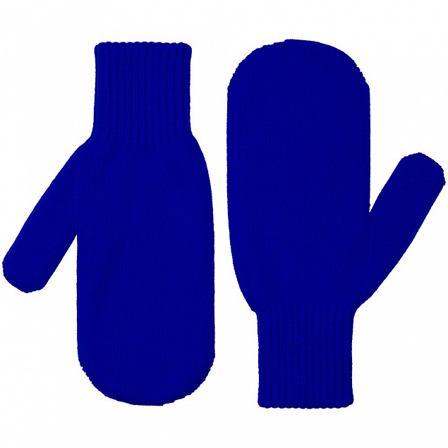 Варежки Life Explorer, синие с логотипом в Нефтекамске заказать по выгодной цене в кибермаркете AvroraStore