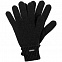 Перчатки Alpine, черные с логотипом в Нефтекамске заказать по выгодной цене в кибермаркете AvroraStore