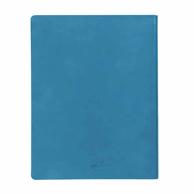 Бизнес-блокнот "Biggy", B5 формат, голубой, серый форзац, мягкая обложка, в клетку с логотипом в Нефтекамске заказать по выгодной цене в кибермаркете AvroraStore