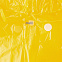 Дождевик BrightWay, желтый с логотипом в Нефтекамске заказать по выгодной цене в кибермаркете AvroraStore