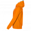 Толстовка мужская 61 Оранжевый с логотипом в Нефтекамске заказать по выгодной цене в кибермаркете AvroraStore