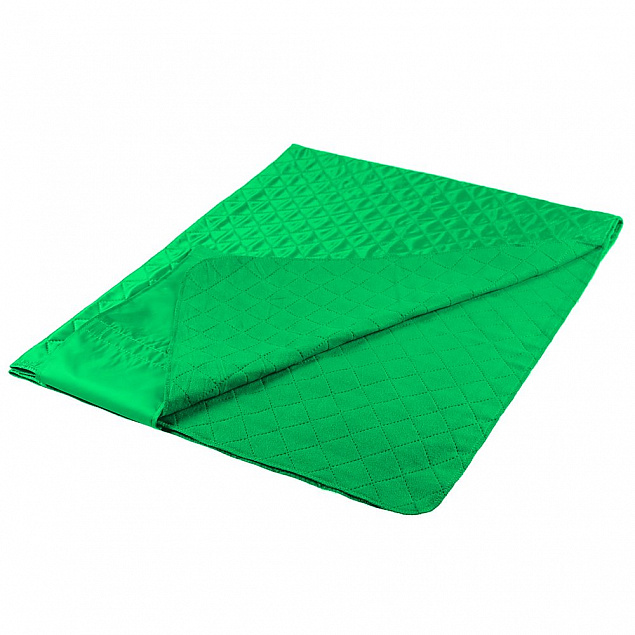 Плед для пикника Comfy, светло-зеленый с логотипом в Нефтекамске заказать по выгодной цене в кибермаркете AvroraStore