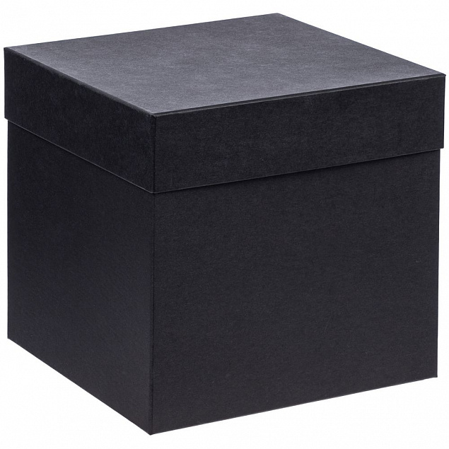 Коробка Cube M, черная с логотипом в Нефтекамске заказать по выгодной цене в кибермаркете AvroraStore