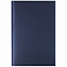 Ежедневник Alpha, А5, датированный (2024 г.), синий с логотипом в Нефтекамске заказать по выгодной цене в кибермаркете AvroraStore