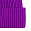 Шапка Yong, фиолетовая с логотипом в Нефтекамске заказать по выгодной цене в кибермаркете AvroraStore