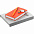 Набор Idea Memory, красный с логотипом в Нефтекамске заказать по выгодной цене в кибермаркете AvroraStore
