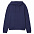 Худи унисекс Phoenix, голубое с логотипом в Нефтекамске заказать по выгодной цене в кибермаркете AvroraStore