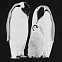 Свитшот детский Like a Penguin, черный с логотипом в Нефтекамске заказать по выгодной цене в кибермаркете AvroraStore