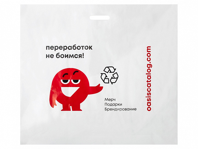 Фирменный пакет Oasis, L с логотипом в Нефтекамске заказать по выгодной цене в кибермаркете AvroraStore