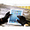 Перчатки для сенсорных экранов с логотипом в Нефтекамске заказать по выгодной цене в кибермаркете AvroraStore