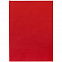 Ежедневник Flat Light, недатированный, красный с логотипом в Нефтекамске заказать по выгодной цене в кибермаркете AvroraStore