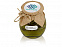 Варенье из ели и мяты в подарочной обертке с логотипом в Нефтекамске заказать по выгодной цене в кибермаркете AvroraStore