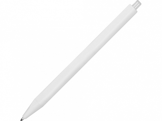 Ручка пластиковая шариковая Pigra P01 с логотипом в Нефтекамске заказать по выгодной цене в кибермаркете AvroraStore