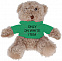 Медведь плюшевый в футболке с логотипом в Нефтекамске заказать по выгодной цене в кибермаркете AvroraStore