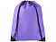 Рюкзак-мешок Evergreen, фиолетовый с логотипом в Нефтекамске заказать по выгодной цене в кибермаркете AvroraStore
