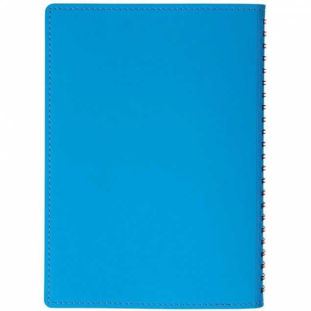 Ежедневник Spring Shall, недатированный, голубой с логотипом в Нефтекамске заказать по выгодной цене в кибермаркете AvroraStore