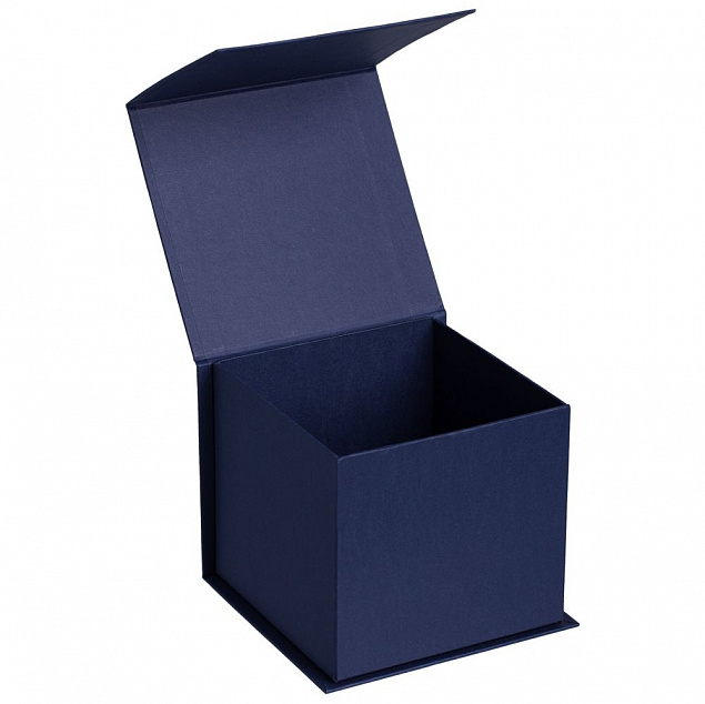 Коробка Alian, синяя с логотипом в Нефтекамске заказать по выгодной цене в кибермаркете AvroraStore