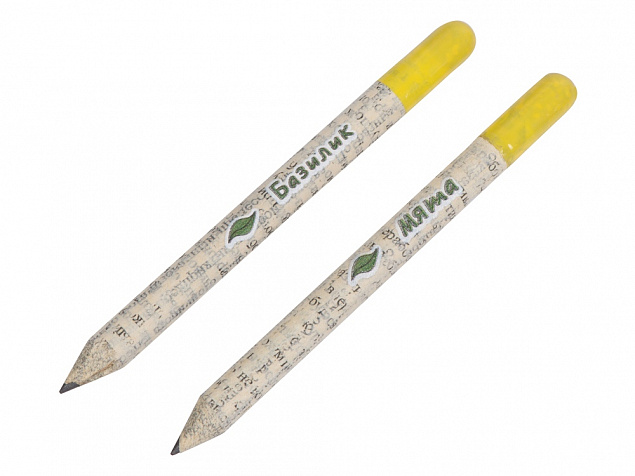 Набор «Растущий карандаш» mini, 2 шт. с семенами базилика и мяты с логотипом в Нефтекамске заказать по выгодной цене в кибермаркете AvroraStore