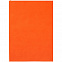Ежедневник Flat, недатированный, оранжевый с логотипом в Нефтекамске заказать по выгодной цене в кибермаркете AvroraStore