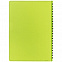 Ежедневник Spring Shall, недатированный, зеленый с логотипом в Нефтекамске заказать по выгодной цене в кибермаркете AvroraStore