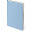 Набор Flex Shall Simple, голубой с логотипом в Нефтекамске заказать по выгодной цене в кибермаркете AvroraStore