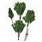 Искусственная ель Ms.Tree, 210 см с логотипом в Нефтекамске заказать по выгодной цене в кибермаркете AvroraStore
