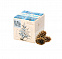 Набор для выращивания «Экокуб», ель голубая с логотипом в Нефтекамске заказать по выгодной цене в кибермаркете AvroraStore