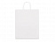 Пакет из крафт-бумаги «GRANT» с логотипом в Нефтекамске заказать по выгодной цене в кибермаркете AvroraStore