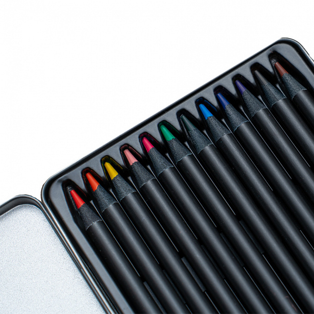 Набор цветных карандашей PROFESSIONAL, 12 цветов с логотипом в Нефтекамске заказать по выгодной цене в кибермаркете AvroraStore