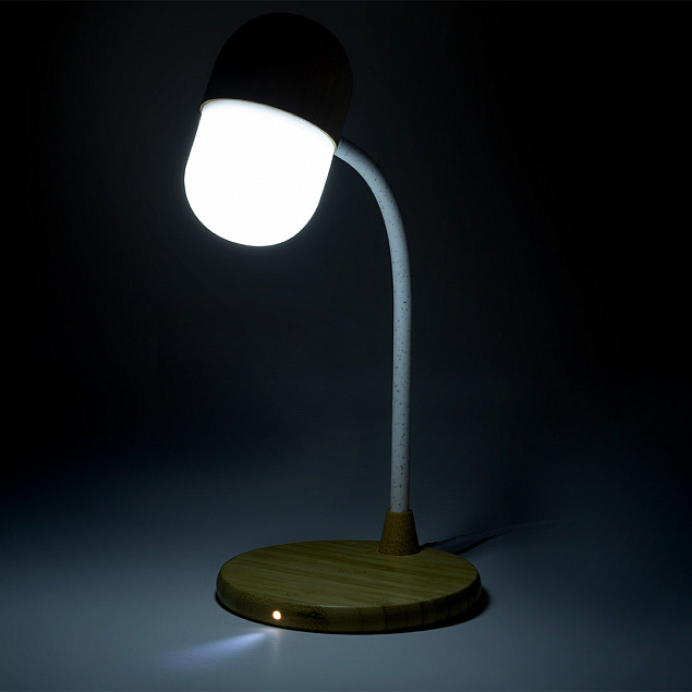 Многофункциональная лампа Lars с логотипом в Нефтекамске заказать по выгодной цене в кибермаркете AvroraStore