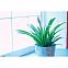 Набор садовых инструментов с логотипом в Нефтекамске заказать по выгодной цене в кибермаркете AvroraStore