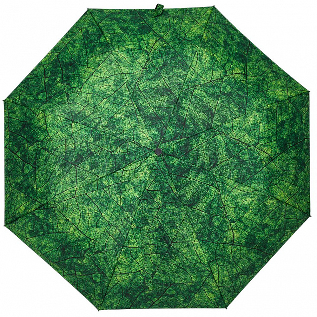 Зонт складной Evergreen с логотипом в Нефтекамске заказать по выгодной цене в кибермаркете AvroraStore