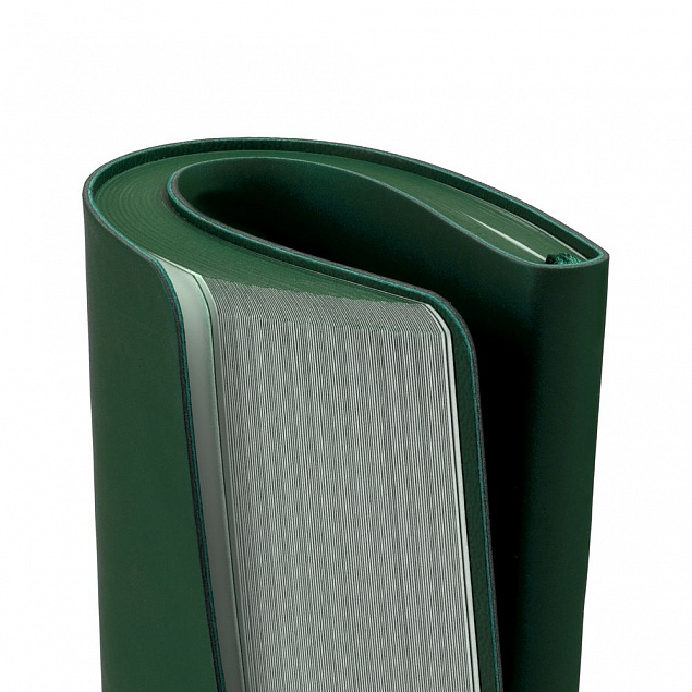 Блокнот Flex Shall, зеленый с логотипом в Нефтекамске заказать по выгодной цене в кибермаркете AvroraStore
