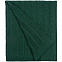 Плед Trenza, зеленый с логотипом в Нефтекамске заказать по выгодной цене в кибермаркете AvroraStore