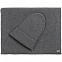 Шарф Alpine, серый с логотипом в Нефтекамске заказать по выгодной цене в кибермаркете AvroraStore