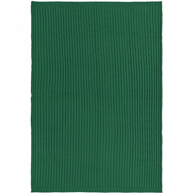 Плед Remit, темно-зеленый с логотипом в Нефтекамске заказать по выгодной цене в кибермаркете AvroraStore