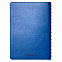 Ежедневник Vista Neo недатированный, ярко-синий с логотипом в Нефтекамске заказать по выгодной цене в кибермаркете AvroraStore