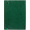 Ежедневник Vivian, недатированный, зеленый с логотипом в Нефтекамске заказать по выгодной цене в кибермаркете AvroraStore