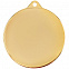 Медаль Regalia, большая, золотистая с логотипом в Нефтекамске заказать по выгодной цене в кибермаркете AvroraStore