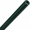 Ручка шариковая Carton Plus, зеленая с логотипом в Нефтекамске заказать по выгодной цене в кибермаркете AvroraStore
