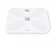 Умные весы с Wi-Fi S3 Lite с логотипом в Нефтекамске заказать по выгодной цене в кибермаркете AvroraStore