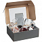 Коробка с окном Visible, серебристая с логотипом в Нефтекамске заказать по выгодной цене в кибермаркете AvroraStore