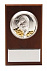 Плакетка малая «Тигр на монетах» с возможностью персонализации с логотипом в Нефтекамске заказать по выгодной цене в кибермаркете AvroraStore